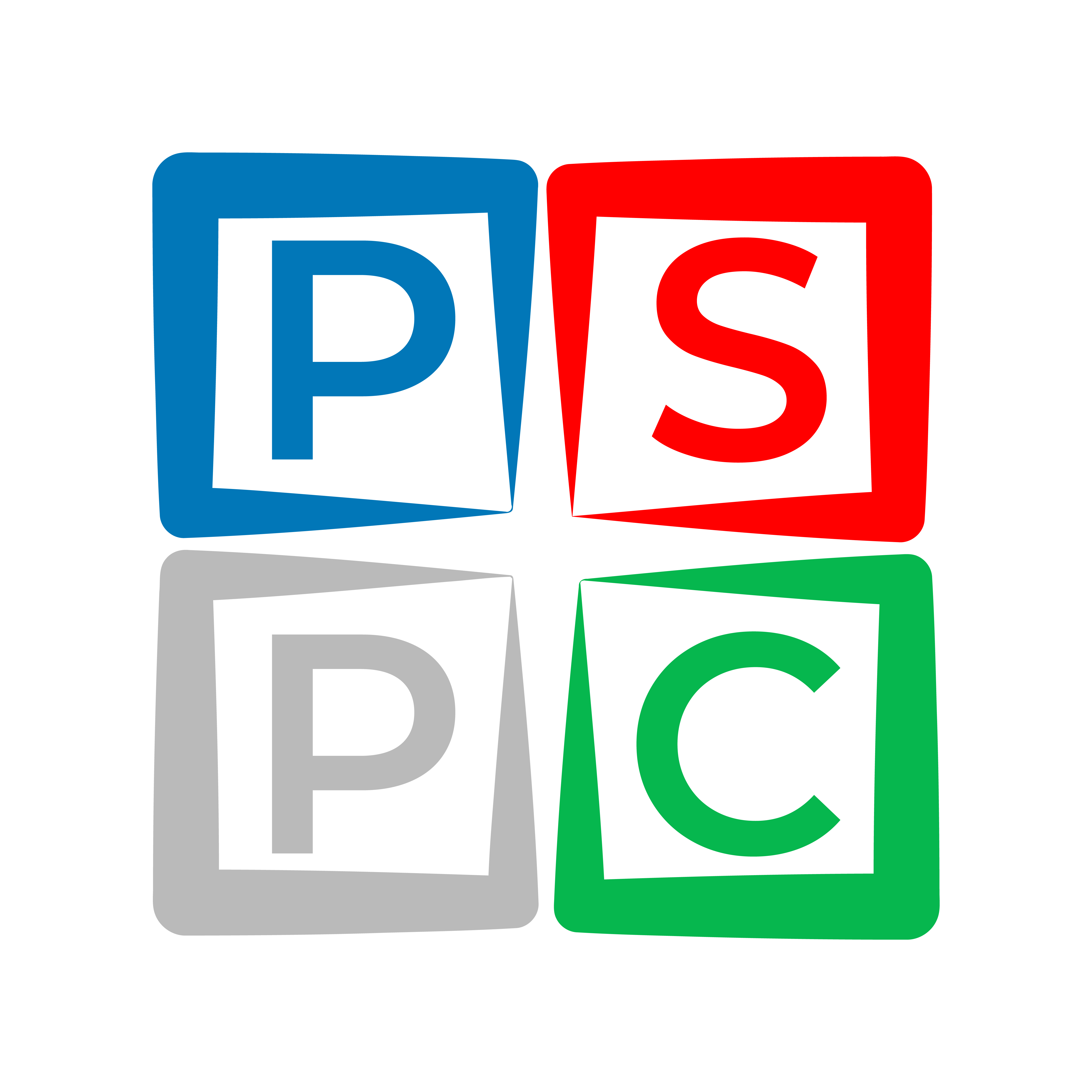 The Public Sector Partnership Co., LLC